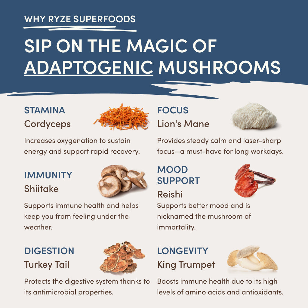 RYZE Nighttime Mushroom Cocoa Starter Bag I0