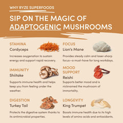 Mushroom Overnight Oats (14 Servings) B7