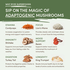 RYZE Mushroom Matcha — Organic Instant Matcha Latte with Lion's Mane & King Trumpet, 30 Servings W8