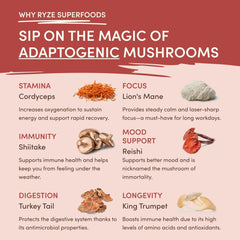 Mushroom Chai (20 Servings) D4