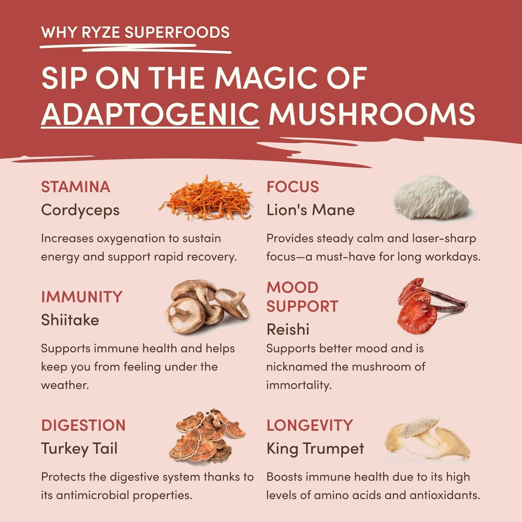 RYZE Mushroom Chai — Organic Instant Chai with Reishi & Organic Black Tea, 20 Servings L3
