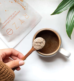 Probiotic Creamer: 30 Servings V3