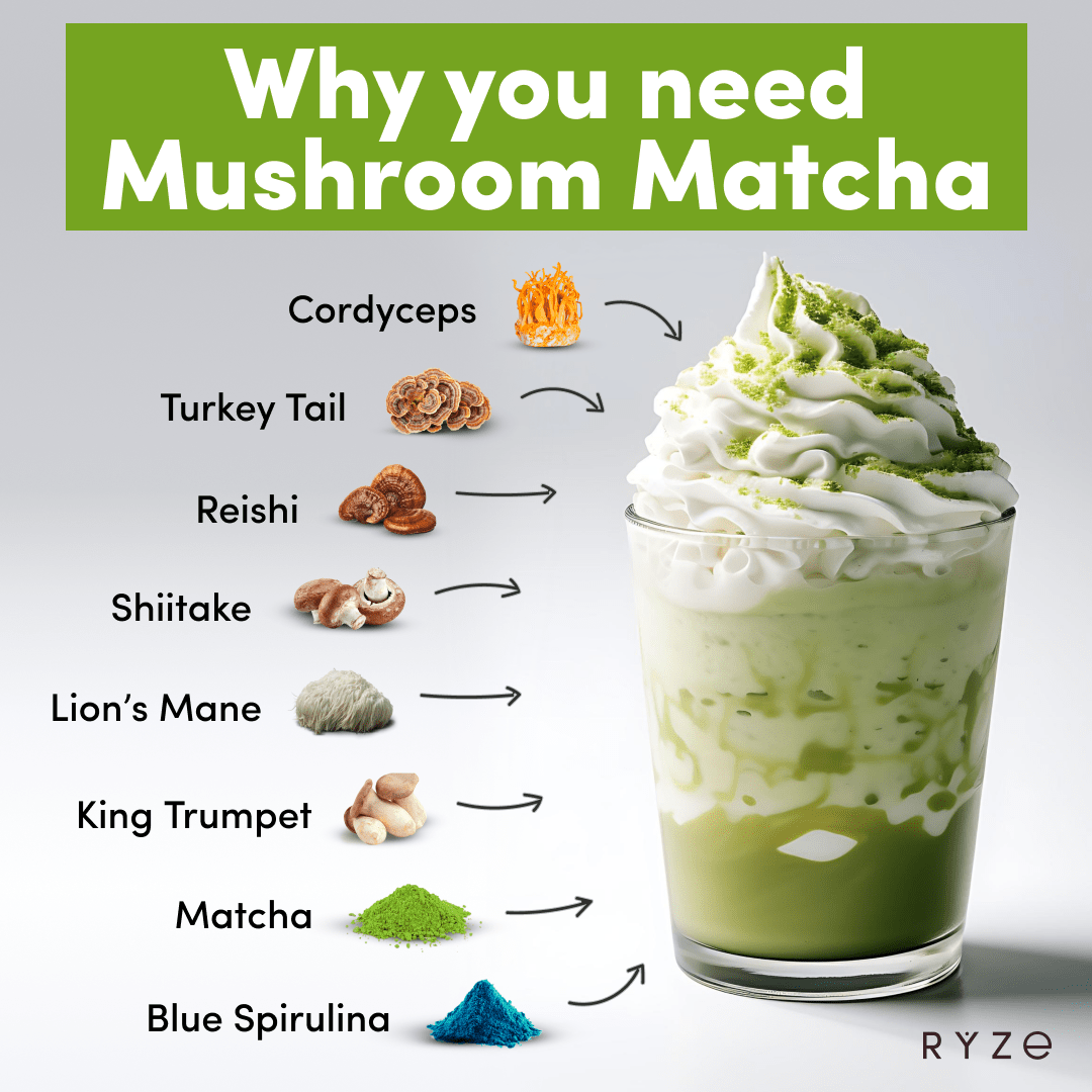 RYZE Mushroom Matcha - with 6 Organic Adaptogenic Mushrooms Grown In USA and Ceremonial-Grade Japanese Matcha G3
