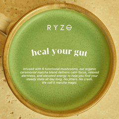 RYZE Organic Mushroom Matcha Starter Kit (60 servings) V9