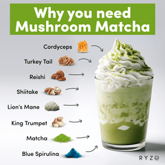 RYZE Organic Mushroom Matcha Starter Kit (60 servings) V9