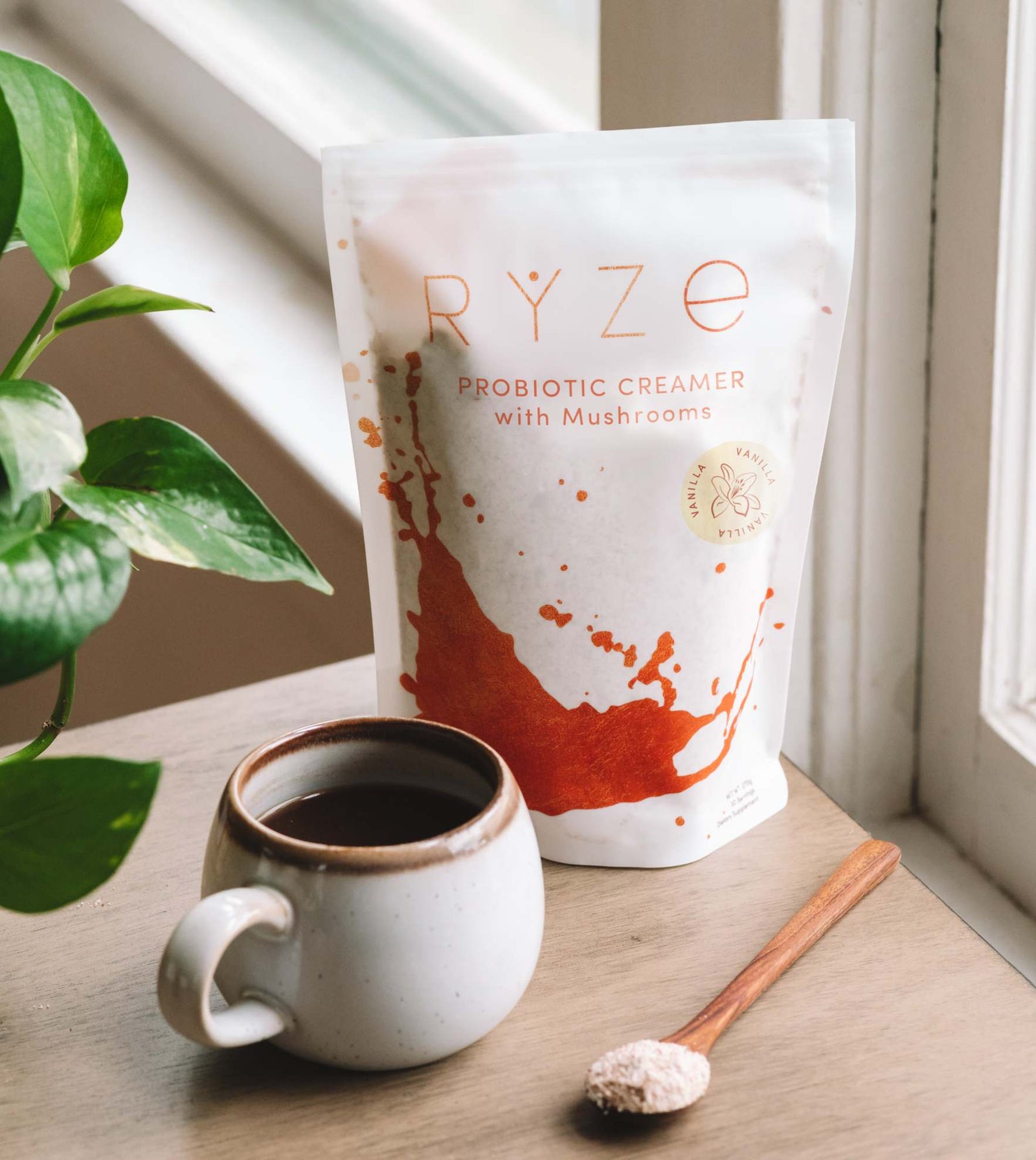 Try our Probiotic Creamer for 50% OFF! P8